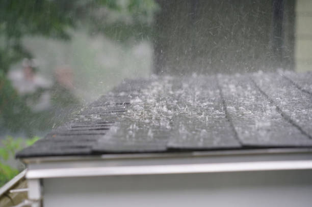 Best Storm Damage Roof Repair  in Sparks, NV