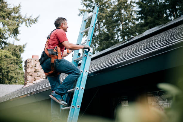 Best Siding  in Sparks, NV